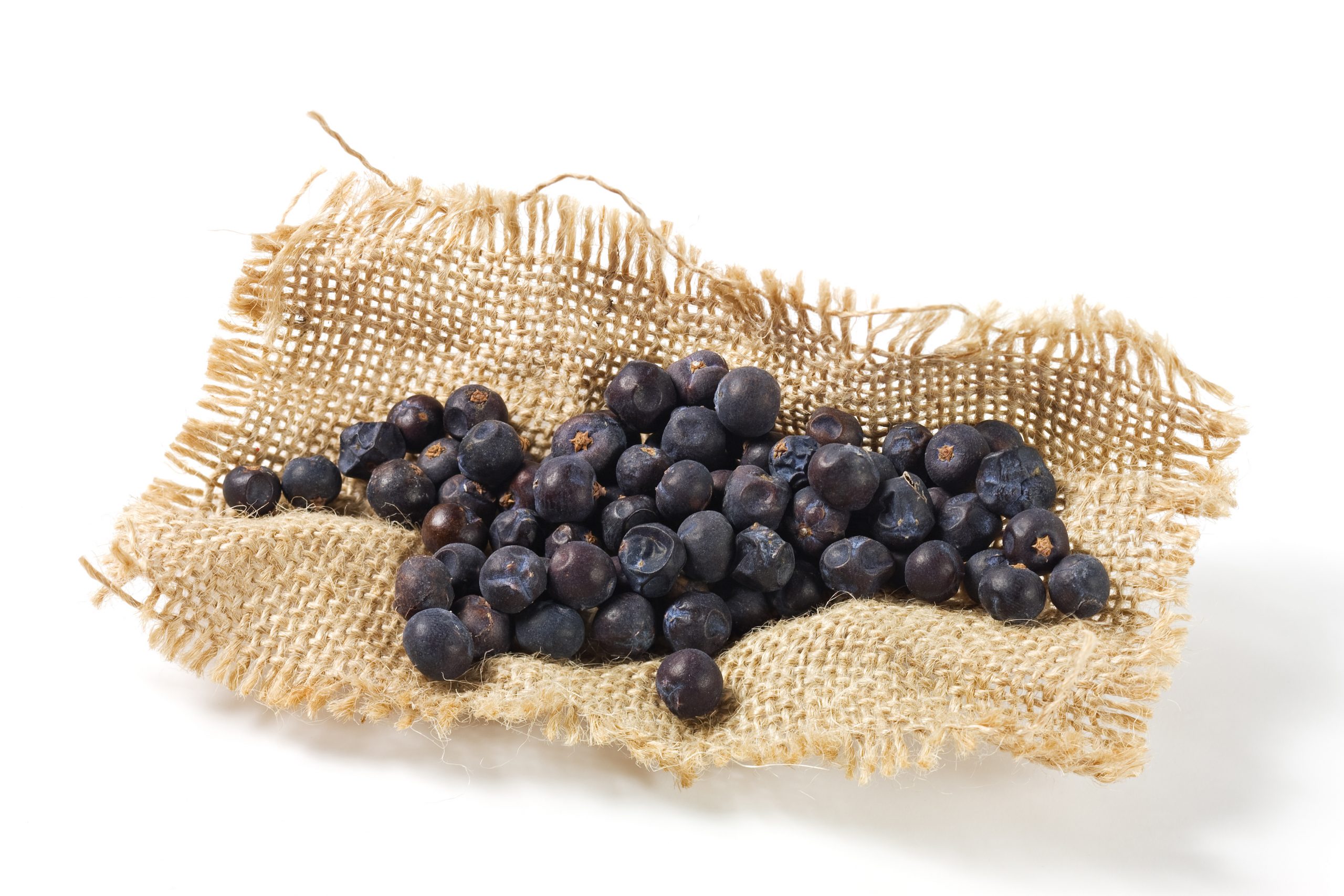 Genièvre baies, en vrac