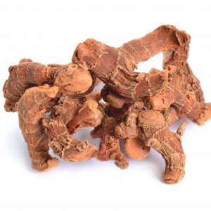 GalangaGalanga, en vrac