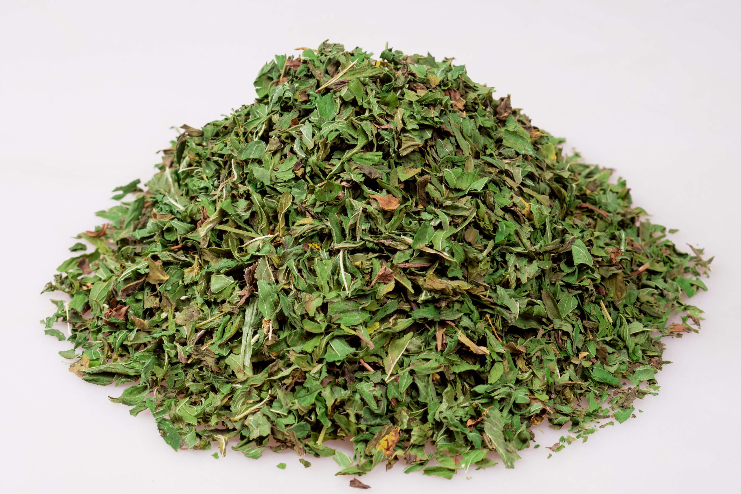 Menthe poivrée – Image 2