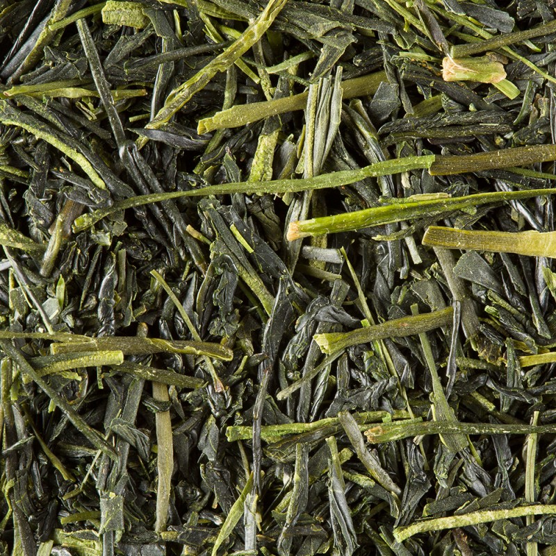 Sencha Tensu, thé vert Japonais
