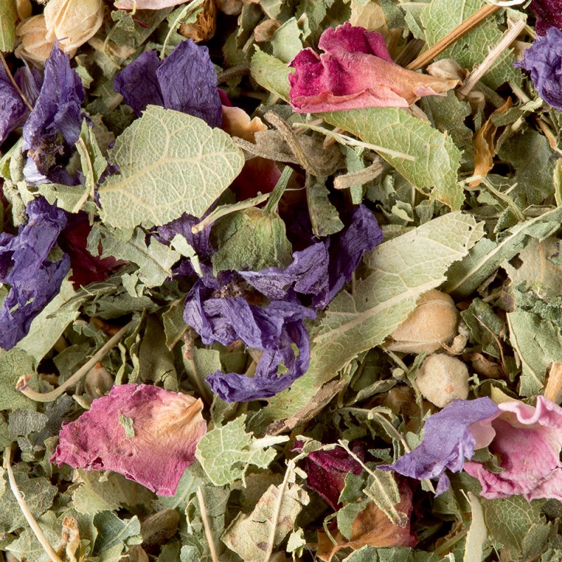 DAMMANN, tisane des Merveilles en vrac