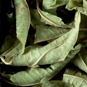 Verveine odorante, tisaneVerveine odorante, tisane, en vrac