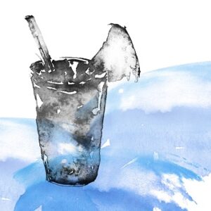 Mince Alors, thé vert parfumé sachet 20gThé du Pavillon, infusion glacée sachet 20g