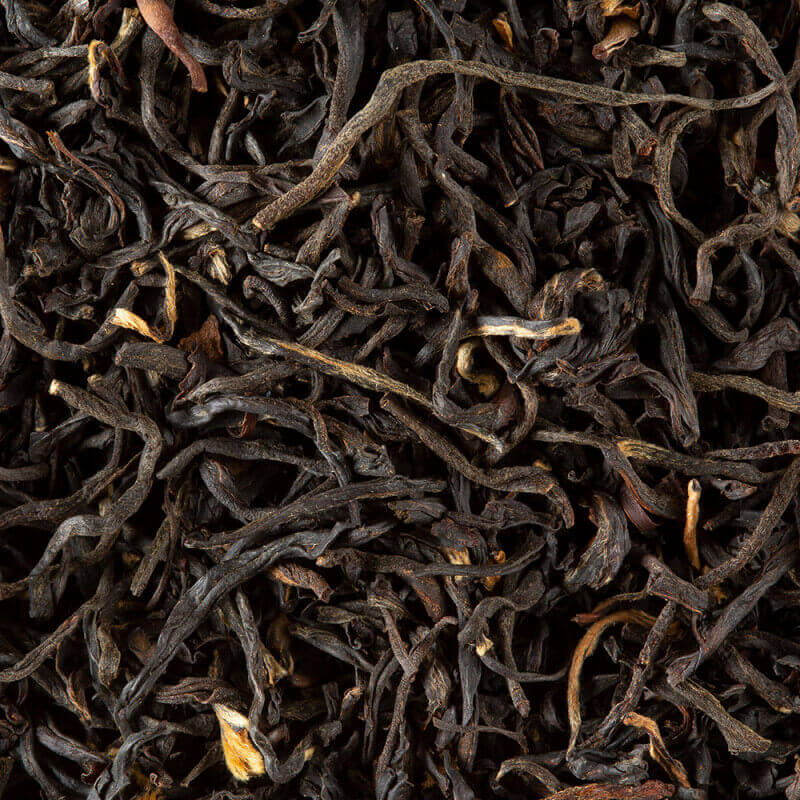 Hoja Caoba, thé noir nature