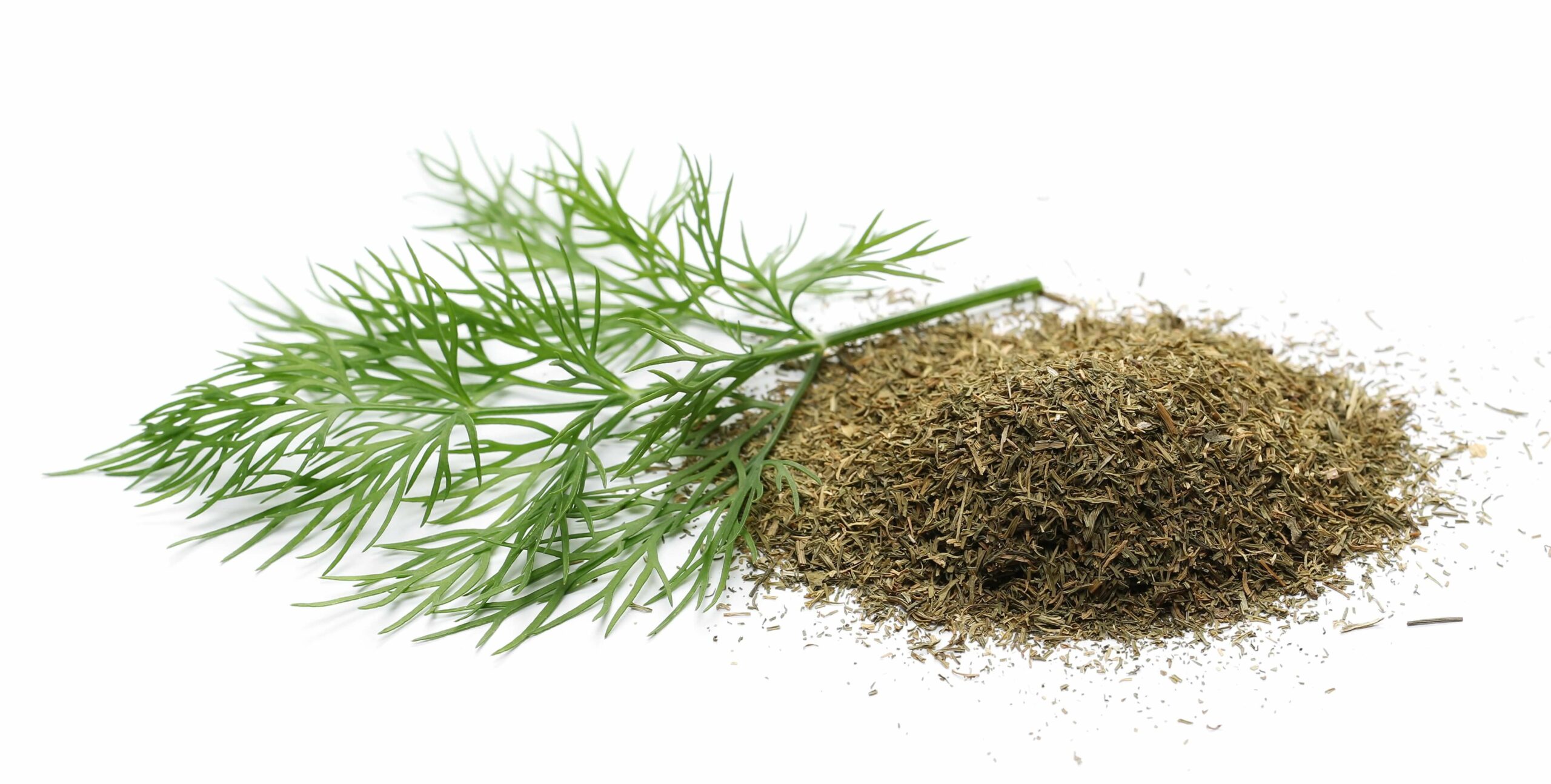 Aneth grains ou feuilles séchées – Image 2