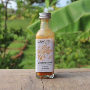 Sauce Gingembre Papaye (100ml)La PLANTATION, Sauce Gingembre Papaye (100ml)