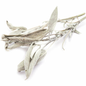 Sauge coupéeSauge coupée, en vrac