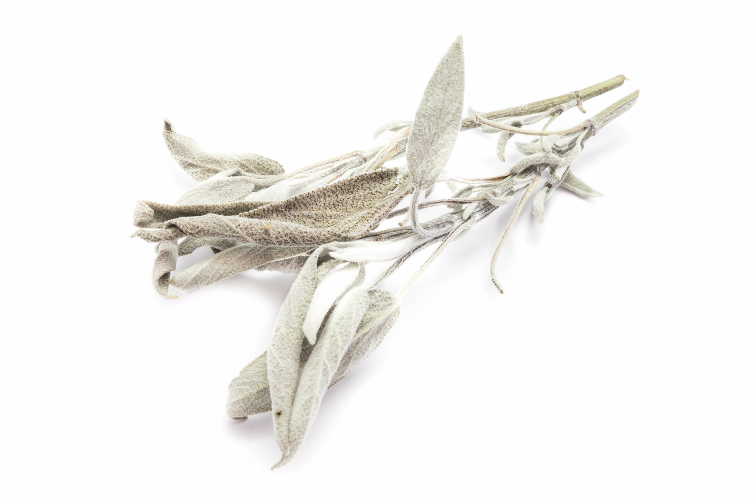 Sauge coupée, en vrac