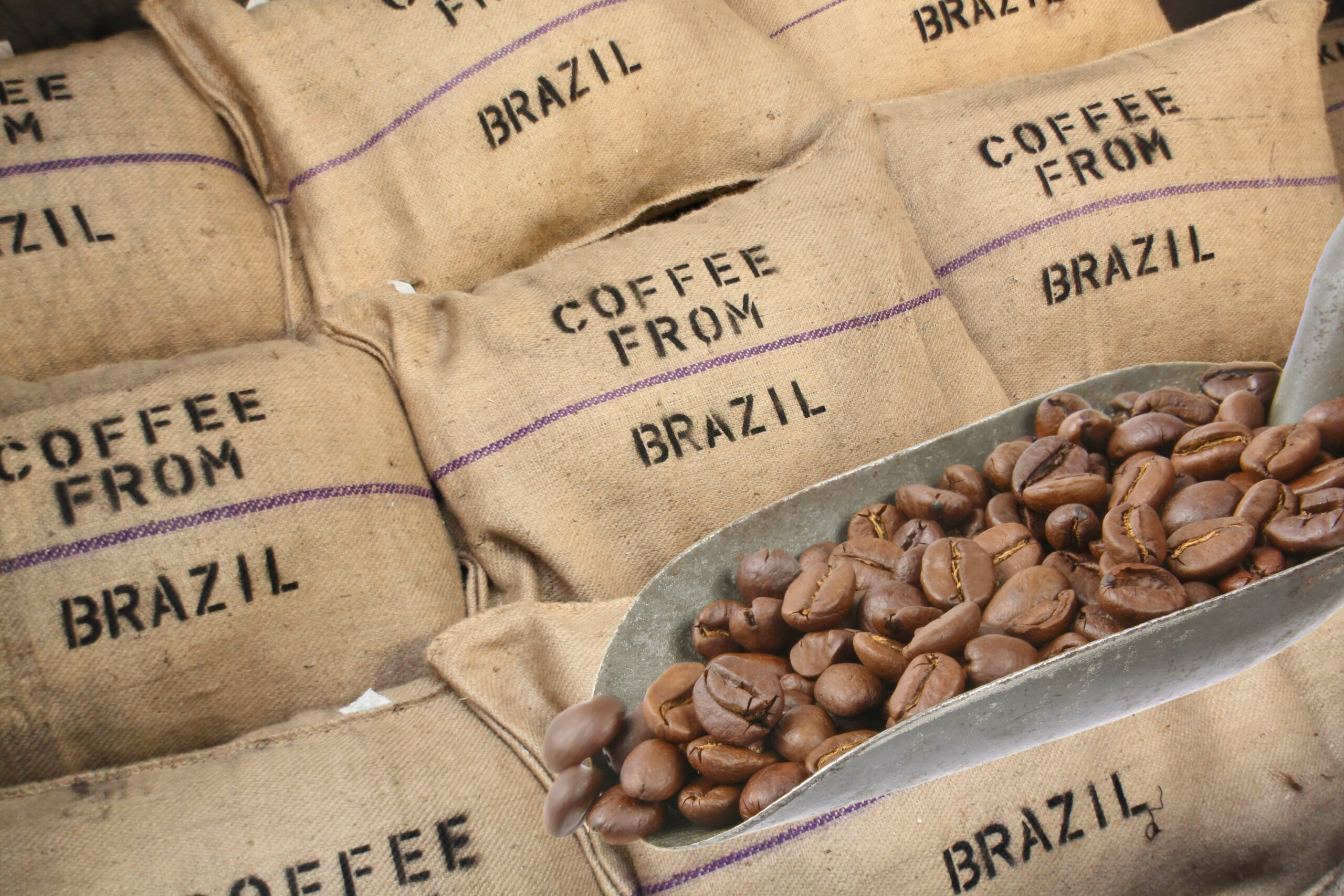 Café Bahia, Brésil en grains