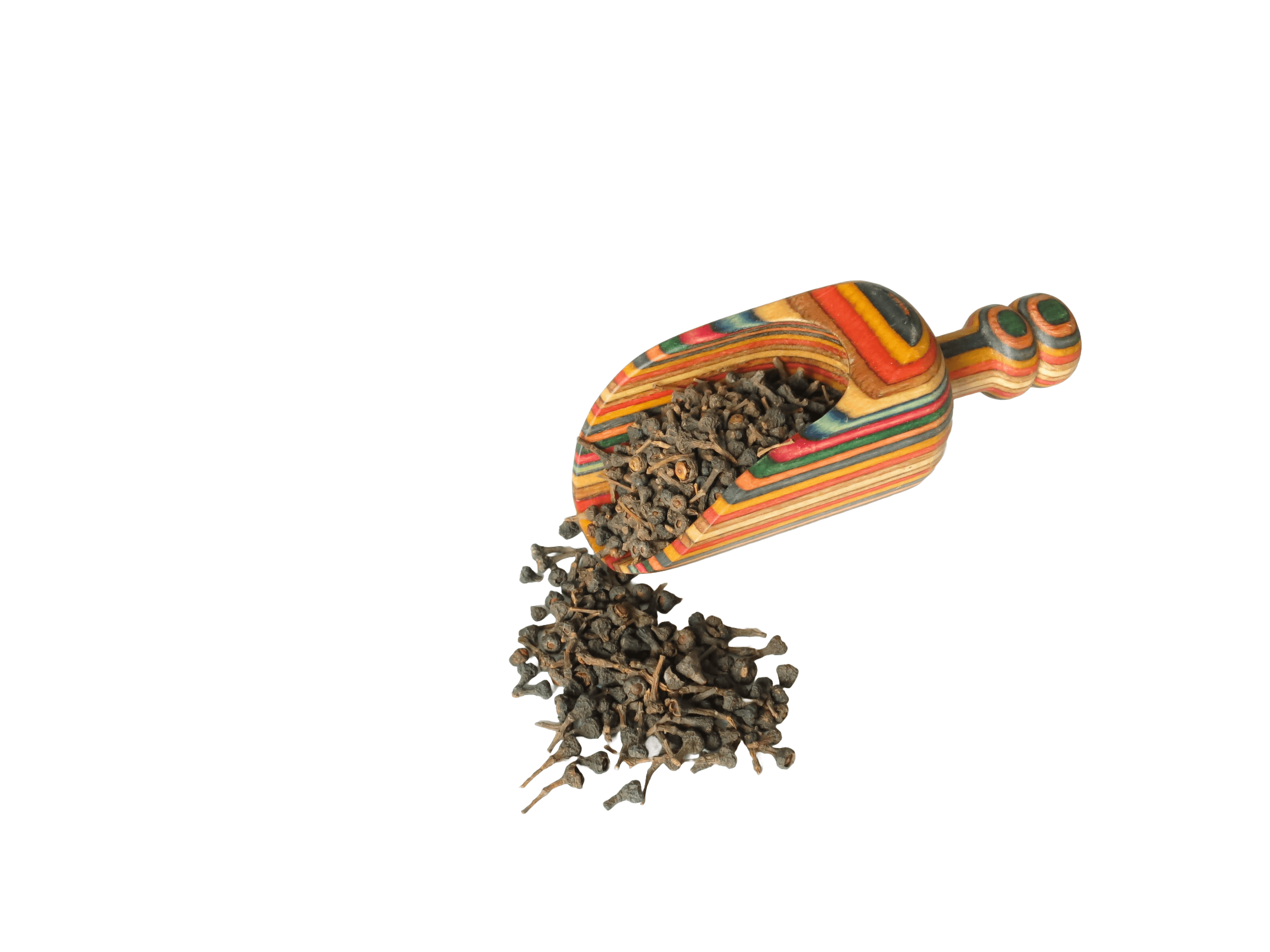 Baies du cannelier, en vrac