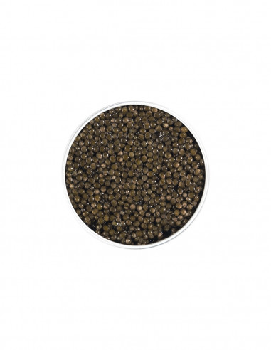 Caviar BAERI Réserve – Image 2