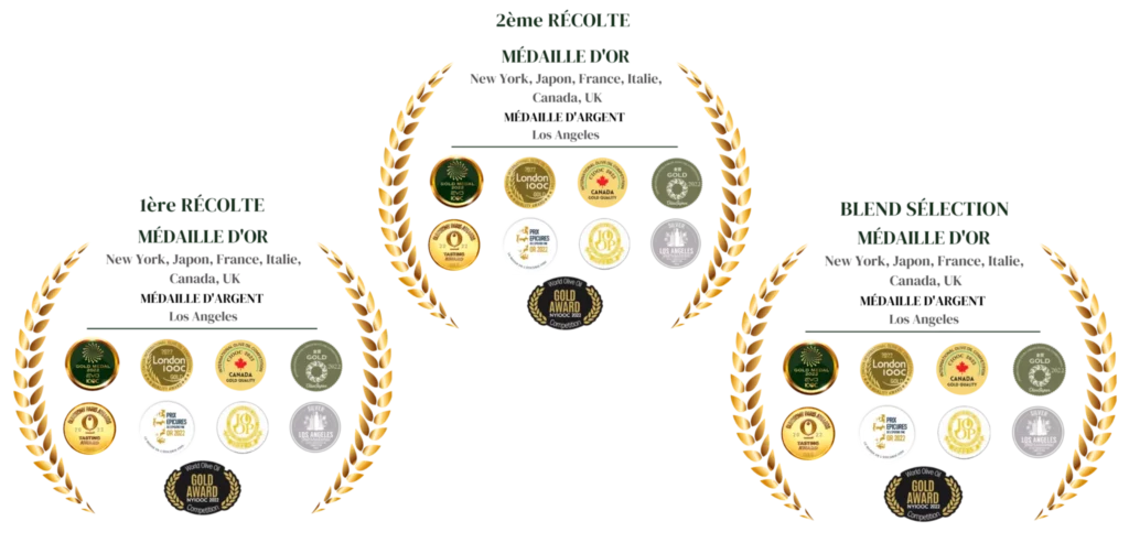 Sans-titre-40-2048x986