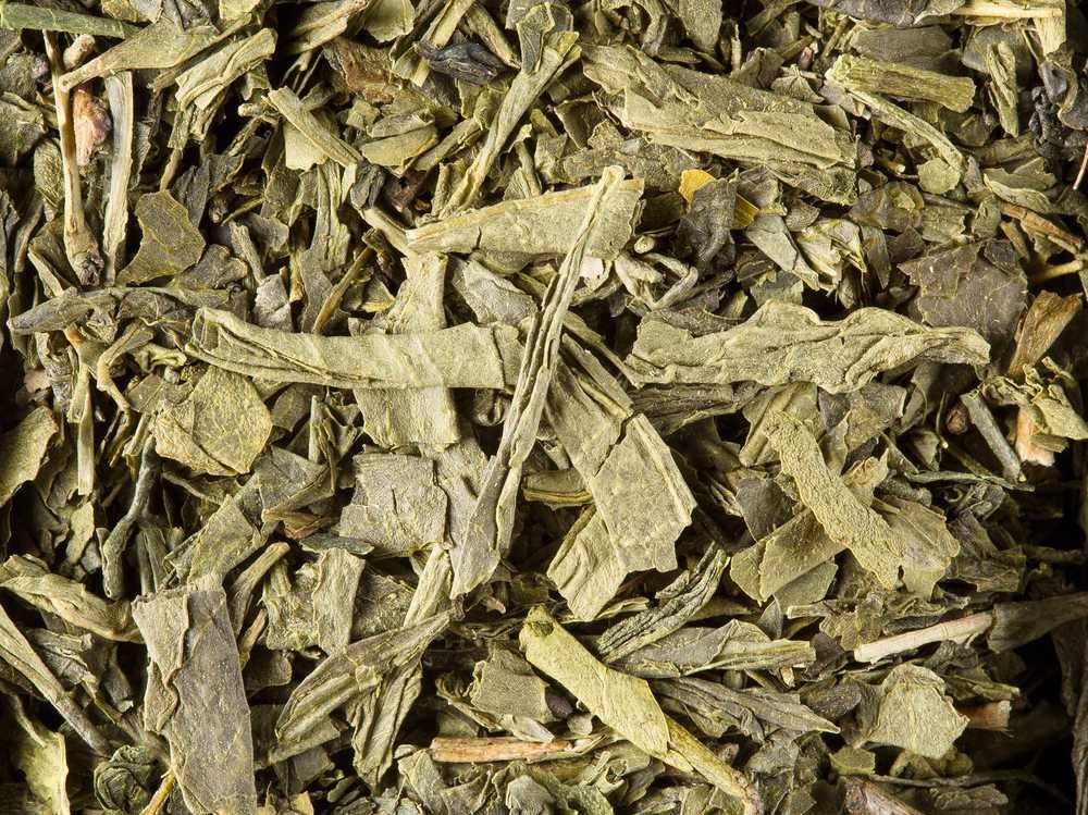 Sencha thé vert Bio, boîte 24 sachets – Image 3