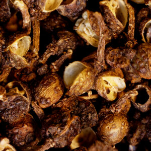 Baie des BatakBaie des Batak, en vrac