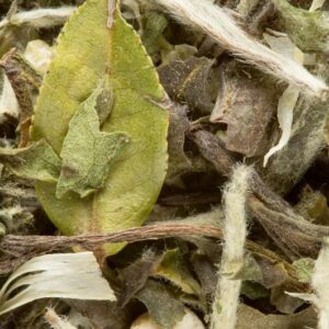 Great Earl Grey thé blancDAMMANN, Great Earl Grey thé blanc bergamote